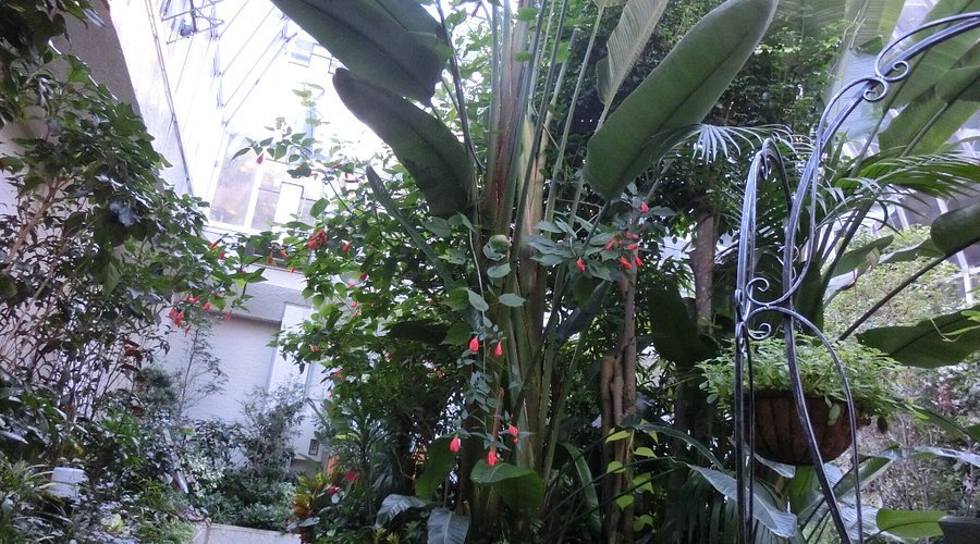 🦋 미노 공원 곤충관(미노오코우엔콘추우칸)